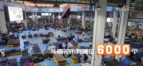 感受云南斗南花市的抢“鲜”时刻 “美丽经济”尽情绽放 感受云南斗南花市的抢“鲜”时刻 “美丽经济”尽情绽放
