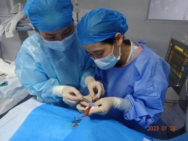 奇迹!“全国最轻”早产儿在厦门出院! 奇迹!“全国最轻”早产儿在厦门出院!