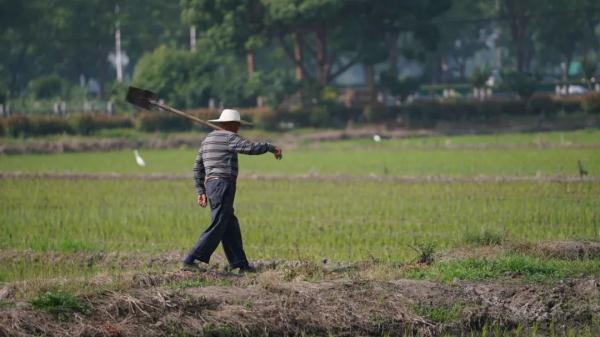 上海这次地震为何有巨响？之前3级以上地震也在青浦！震中现在还好吗？