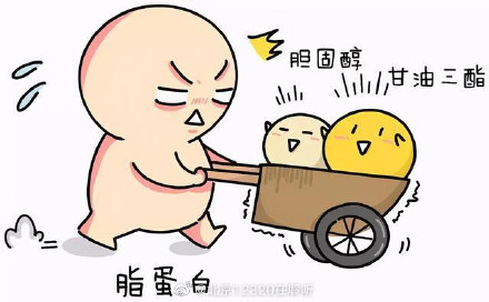 血脂的指标很多，哪个最危险？