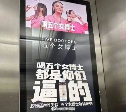 五个女博士被罚40万元