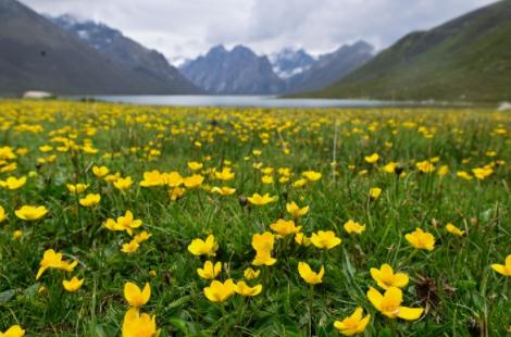 在线旅游平台盈利普遍好转 市场全面复苏还需时日 在线旅游平台盈利普遍好转 市场全面复苏还需时日