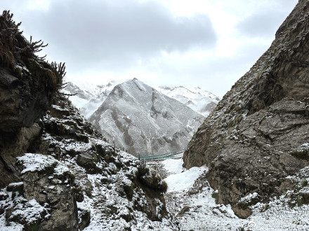 您有一份来自新疆的清凉壁纸，请查收～