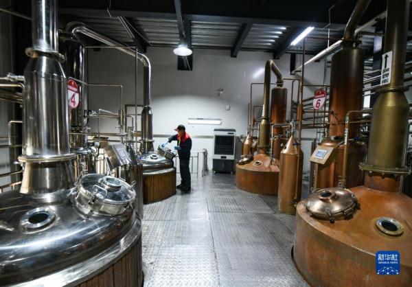 四川小金:玫瑰花铺出致富路 四川小金:玫瑰花铺出致富路