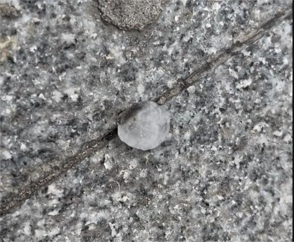 上海太魔幻!一边下雨、一边下冰、一边还天晴?又要冲高温 上海太魔幻!一边下雨、一边下冰、一边还天晴?又要冲高温