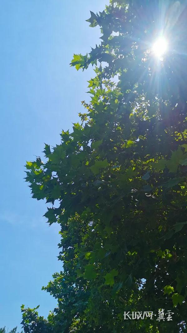 最高40.7℃！河北9地高温40℃+，其中石家庄有7地……