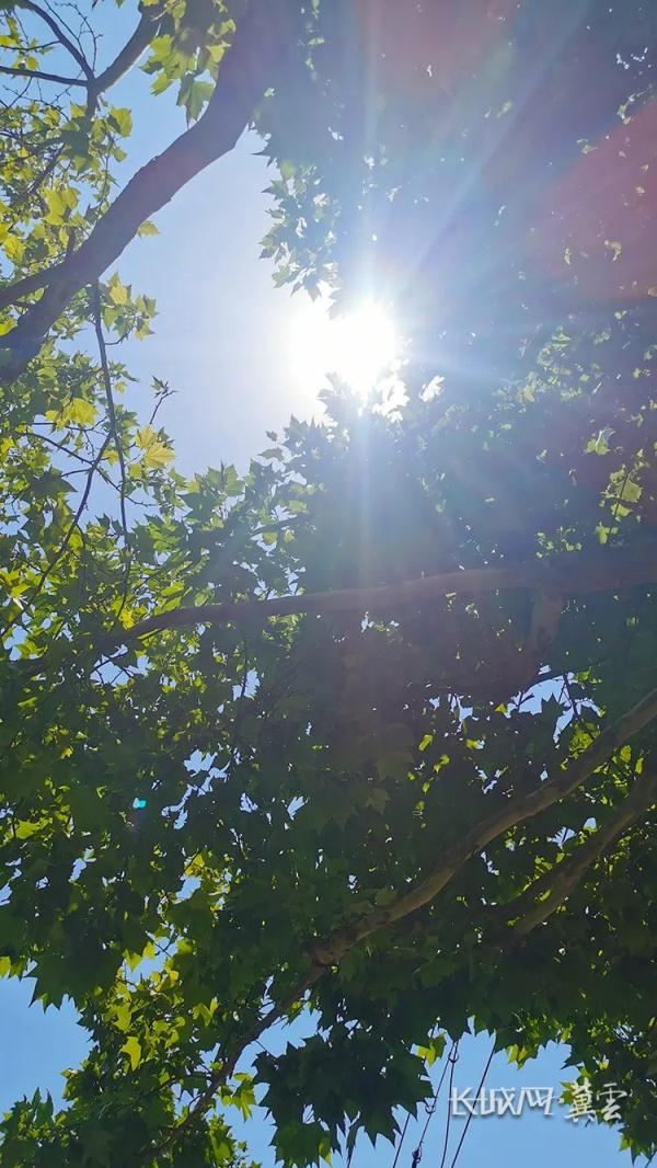 最高40.7℃！河北9地高温40℃+，其中石家庄有7地……