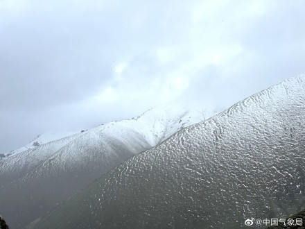 您有一份来自新疆的清凉壁纸，请查收～