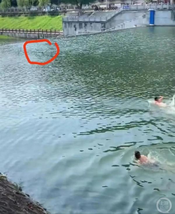 女子跳河三男子先后下水救人,当地正着手申报“见义勇为” 女子跳河三男子先后下水救人,当地正着手申报“见义勇为”