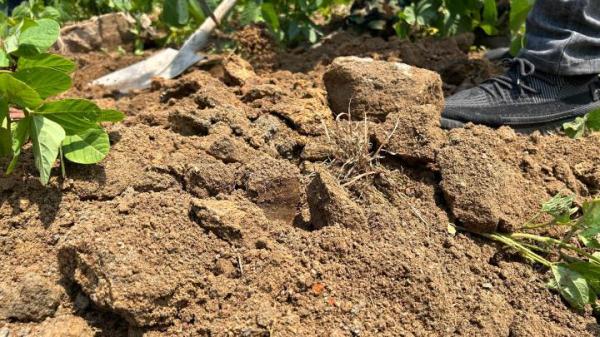 填埋建筑垃圾、突击倒土复垦……苏鲁交界毁田盗采砂石调查