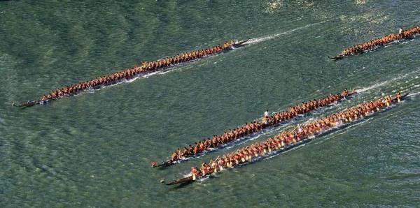 @广州街坊，各镇村“睇龙舟”攻略来啦→