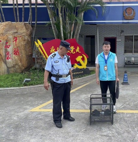 “迷路”鹦鹉飞进派出所,民警一查:国家一级保护动物! “迷路”鹦鹉飞进派出所,民警一查:国家一级保护动物!