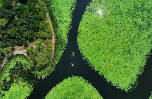 “炙烤”预警！最高温40℃！持续到……