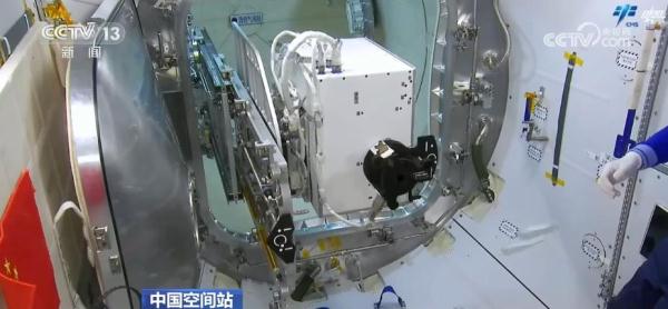 中国星辰 | 首次！神十六乘组开展舱外辐射生物学暴露实验