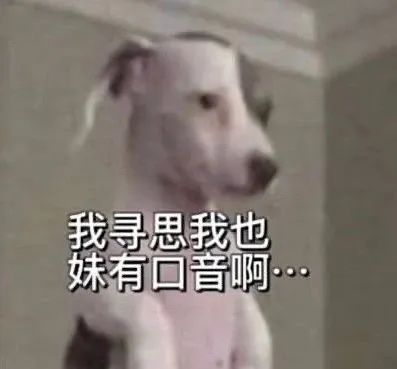 为什么你总是被周围人的口音带跑偏?东北方言究竟有着什么魔力? 为什么你总是被周围人的口音带跑偏?东北方言究竟有着什么魔力?