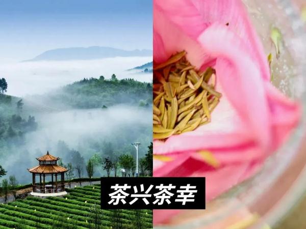 消费西城 | 寻茶“趣” 吃茶去！西城北京坊请您沉浸式尝“新”茶！