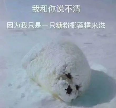 为什么你总是被周围人的口音带跑偏?东北方言究竟有着什么魔力? 为什么你总是被周围人的口音带跑偏?东北方言究竟有着什么魔力?