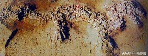 为“司母戊鼎”纠错,谢绝有偿鉴宝的孙机先生走了 为“司母戊鼎”纠错,谢绝有偿鉴宝的孙机先生走了