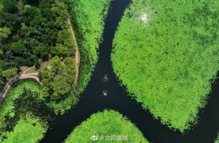 高温黄色预警：预计16日到18日，沈阳市区白天最高气温将升至35℃以上