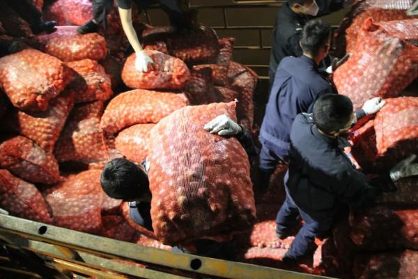 云南破获洋葱藏毒案!民警8小时剥32吨洋葱 缴毒22.3公斤 云南破获洋葱藏毒案!民警8小时剥32吨洋葱 缴毒22.3公斤