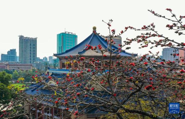 解码文化自信的城市样本丨广州:海风珠韵润羊城 解码文化自信的城市样本丨广州:海风珠韵润羊城