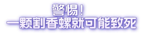 女子吃完这种螺,心跳骤停!医生提醒:吃一颗就可能致命 女子吃完这种螺,心跳骤停!医生提醒:吃一颗就可能致命
