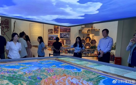 风景美如画！探访“候鸟天堂”闽江河口湿地