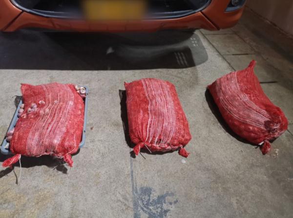 “辣眼睛”!洋葱藏毒也难逃法网 “辣眼睛”!洋葱藏毒也难逃法网