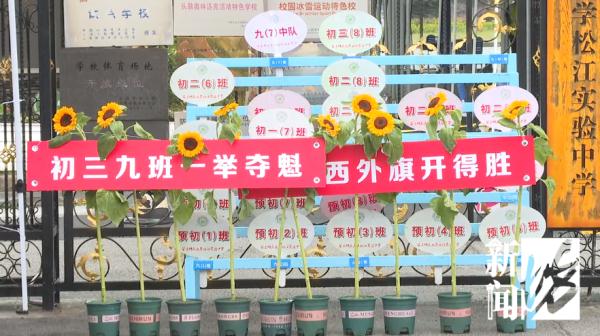 雨中开考！上海中考语文作文公布，还记得你那年的考题吗？