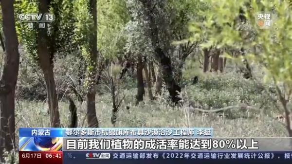 中国人种树有多牛？卫星告诉你→