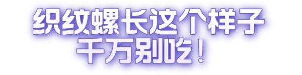 女子吃完这种螺,心跳骤停!医生提醒:吃一颗就可能致命 女子吃完这种螺,心跳骤停!医生提醒:吃一颗就可能致命
