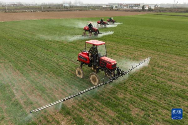 秦岭脚下的父子农田“大管家”