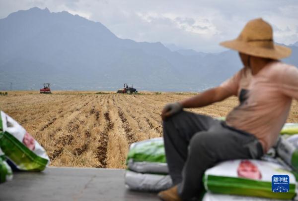 秦岭脚下的父子农田“大管家”