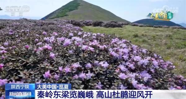 藏乡、高山、水库、绿洲 镜头下的夏日中国美不胜收