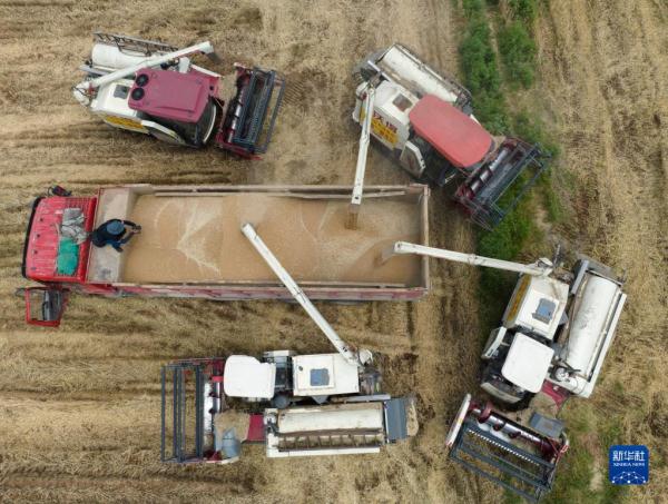 秦岭脚下的父子农田“大管家”