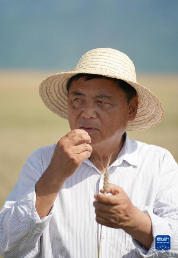 秦岭脚下的父子农田“大管家”