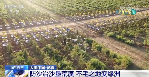 藏乡、高山、水库、绿洲 镜头下的夏日中国美不胜收