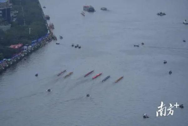 苏炳添发令！梁家辉擂鼓！大湾区人扒龙船拼了