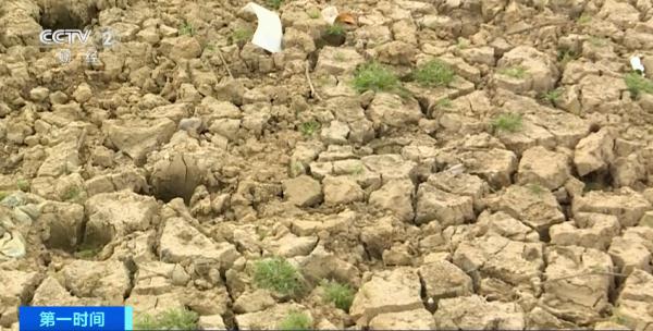 这国遭遇极端高温,导致“电荒”!多家大厂受影响 这国遭遇极端高温,导致“电荒”!多家大厂受影响