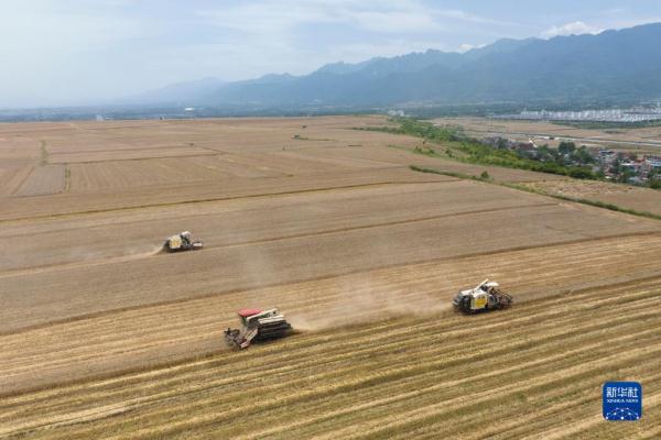 秦岭脚下的父子农田“大管家”