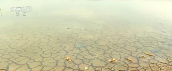 这国遭遇极端高温,导致“电荒”!多家大厂受影响 这国遭遇极端高温,导致“电荒”!多家大厂受影响