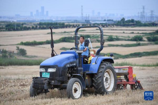 秦岭脚下的父子农田“大管家”