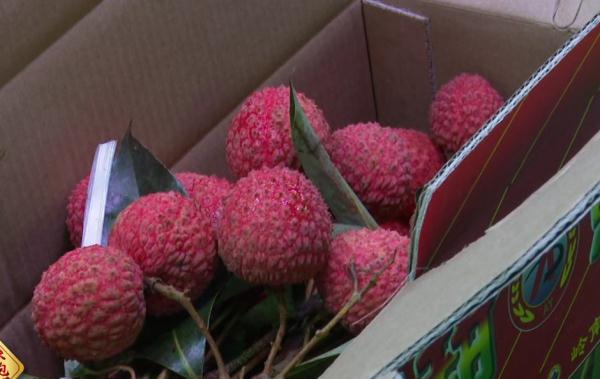 紧急提醒:又一例因它中毒!千万别空腹吃 紧急提醒:又一例因它中毒!千万别空腹吃