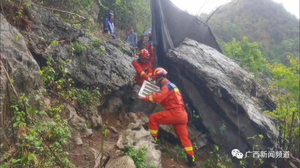 广西百色蟒蛇出没！被发现时已咬死村民家中一只山羊