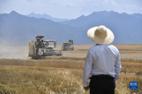 秦岭脚下的父子农田“大管家”
