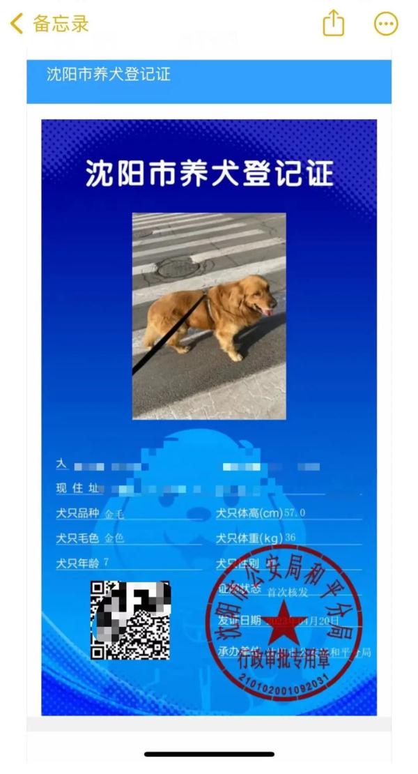 大学生“以证换狗”走红！有人收到上百名学生的遛狗请求