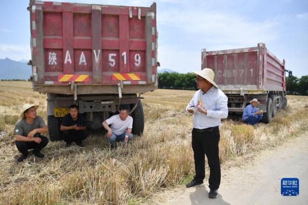 秦岭脚下的父子农田“大管家”