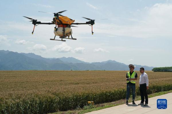 秦岭脚下的父子农田“大管家”