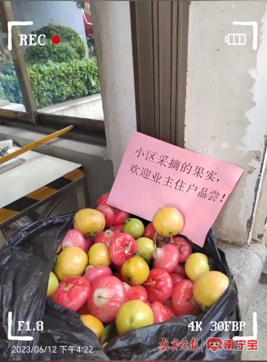 小区果树上果子熟了,业主能不能自行采摘?听听律师怎么说 小区果树上果子熟了,业主能不能自行采摘?听听律师怎么说