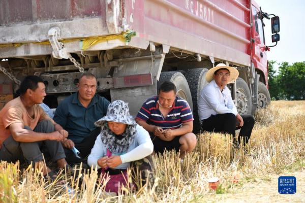 秦岭脚下的父子农田“大管家”